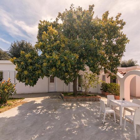 Forio di Ischia Casa Yucca 빌라 외부 사진