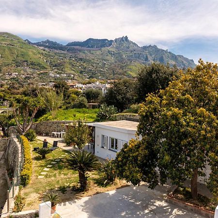 Forio di Ischia Casa Yucca 빌라 외부 사진
