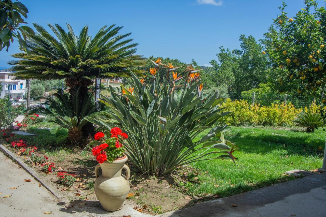 Forio di Ischia Casa Yucca 빌라 외부 사진