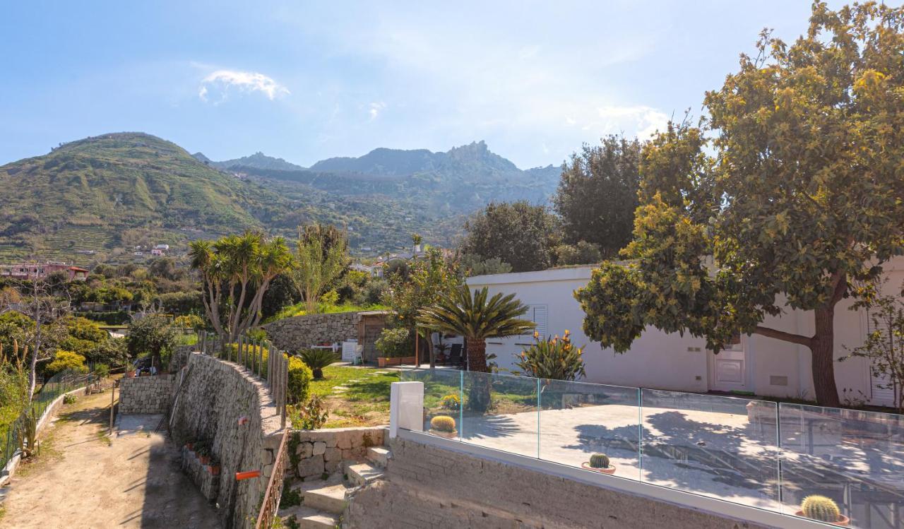 Forio di Ischia Casa Yucca 빌라 외부 사진
