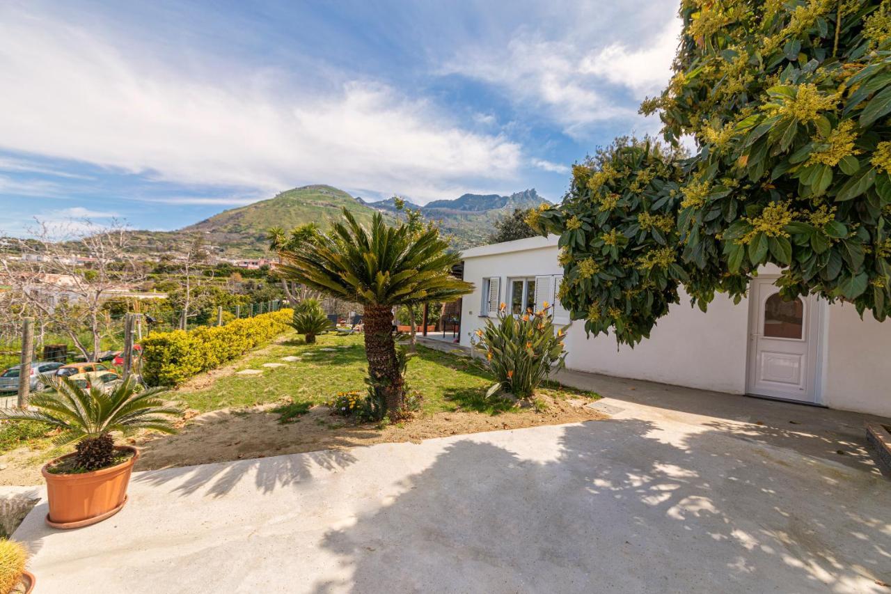 Forio di Ischia Casa Yucca 빌라 외부 사진
