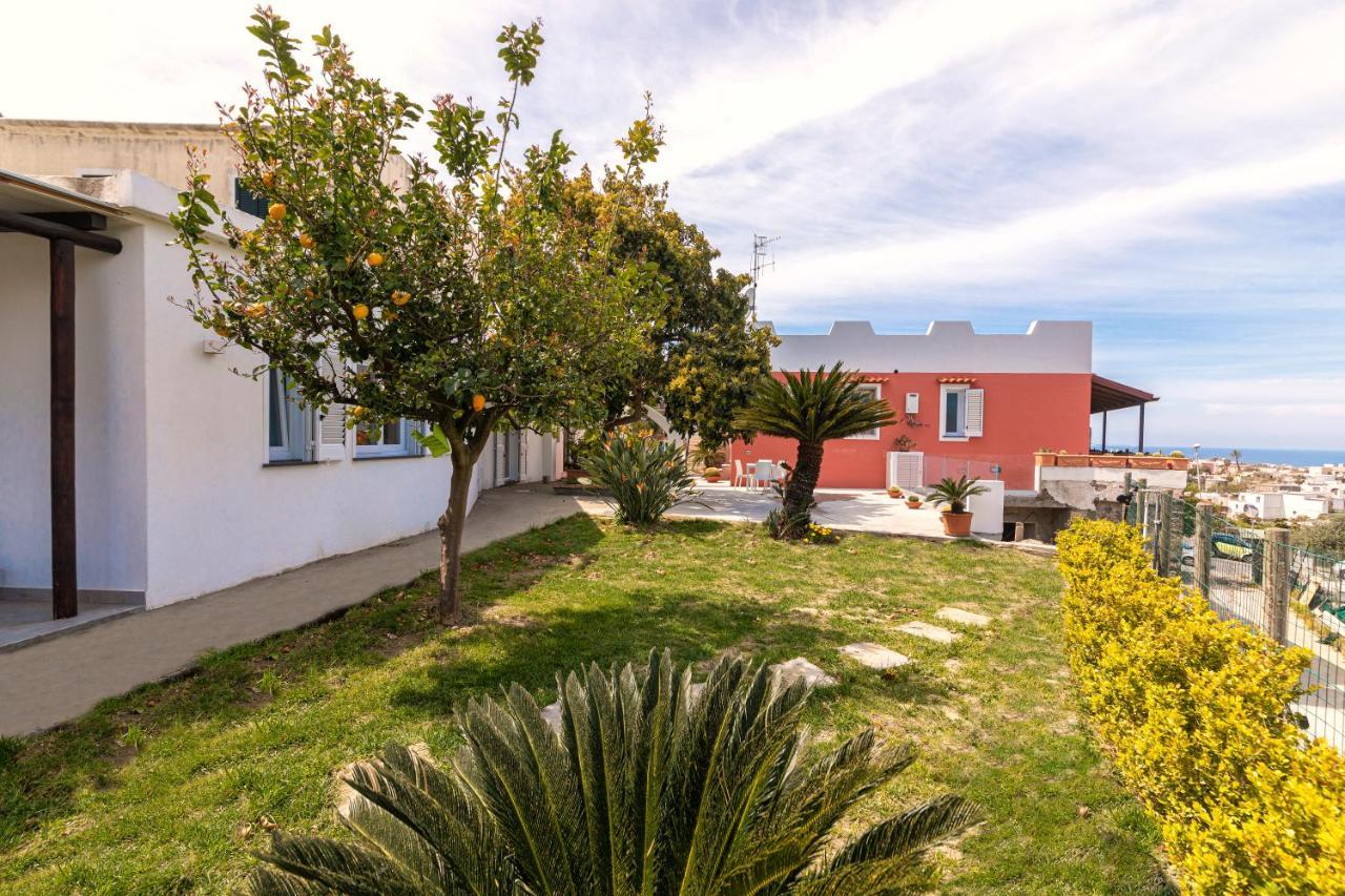 Forio di Ischia Casa Yucca 빌라 외부 사진