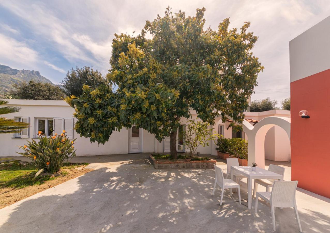 Forio di Ischia Casa Yucca 빌라 외부 사진