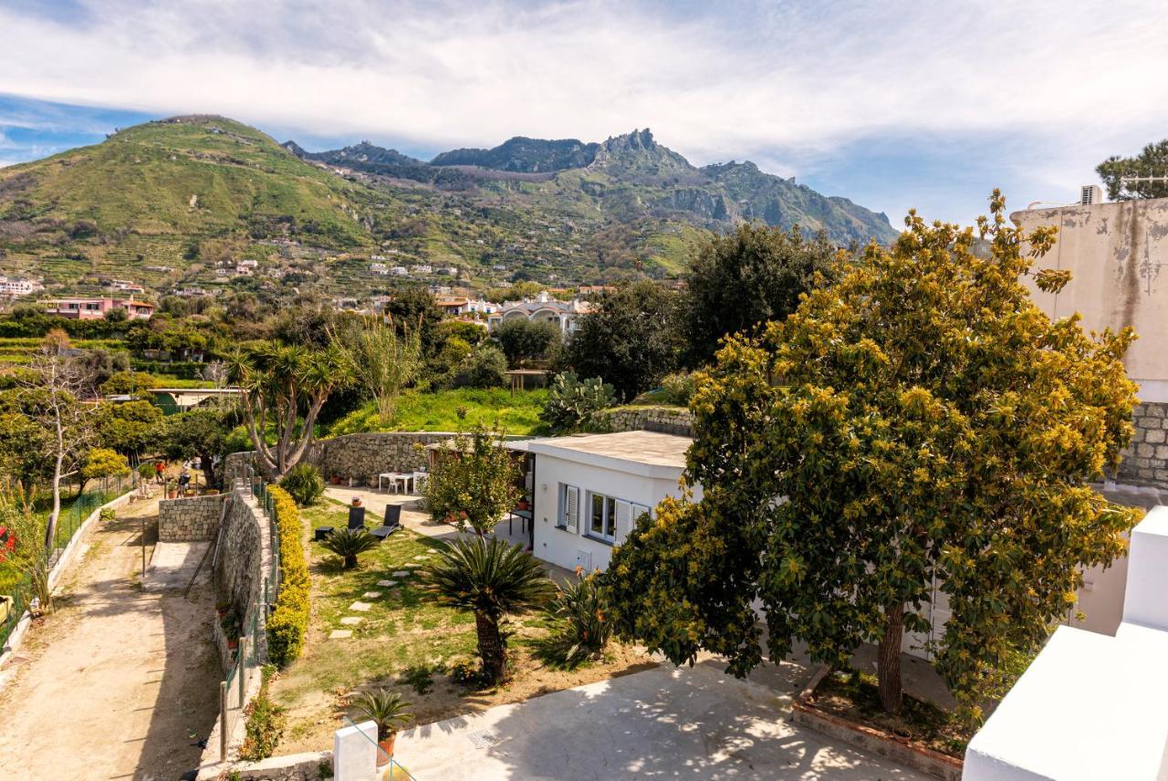 Forio di Ischia Casa Yucca 빌라 외부 사진